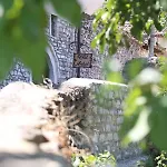 Hotel Anhel 4*